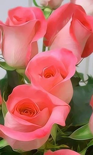 88 Mejores Imgenes De Rosas En Pinterest Flores Bonitas Flores Amazing  Flores Y Rosas | Todo imágenes