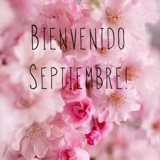 Bienvenido Septiembre 2020: Imágenes Con Frases Bonitas Cortas | Todo ...