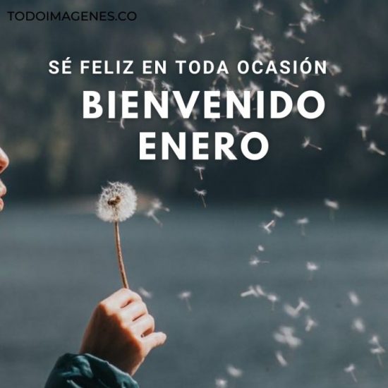 Bienvenido Enero 2021 Imágenes Con Frases Bonitas Cortas Todo Imágenes 8379