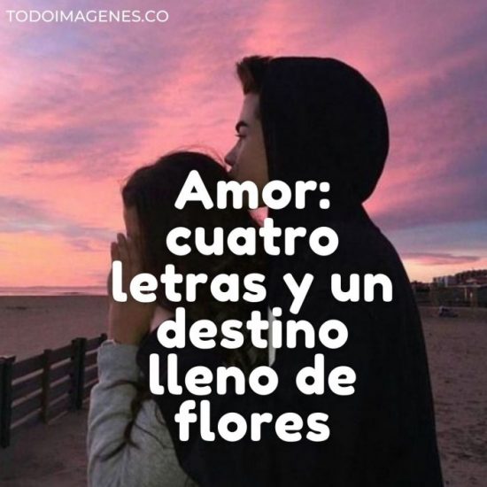 Pensamientos De Amor Dedicatorias Cortas Bonitas Y Románticas Todo Imágenes 4283