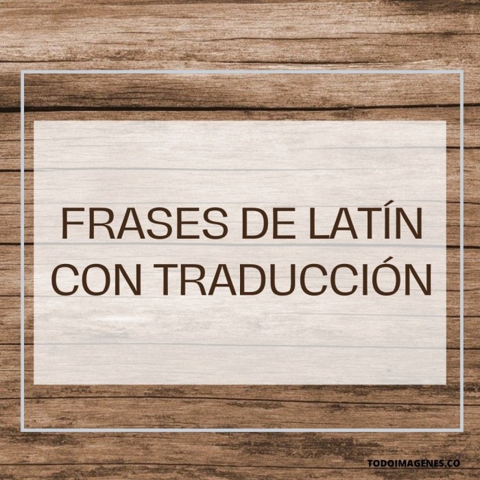Frases en latín cortas y bonitas con su significado | Todo imágenes