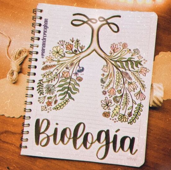 Portadas De Biología Cuadernos Ideas Carátulas Y Dibujos Todo Imágenes 8159