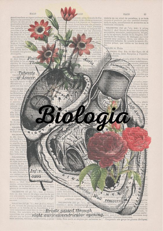 Portadas de biología, cuadernos, ideas, carátulas y dibujos | Todo imágenes